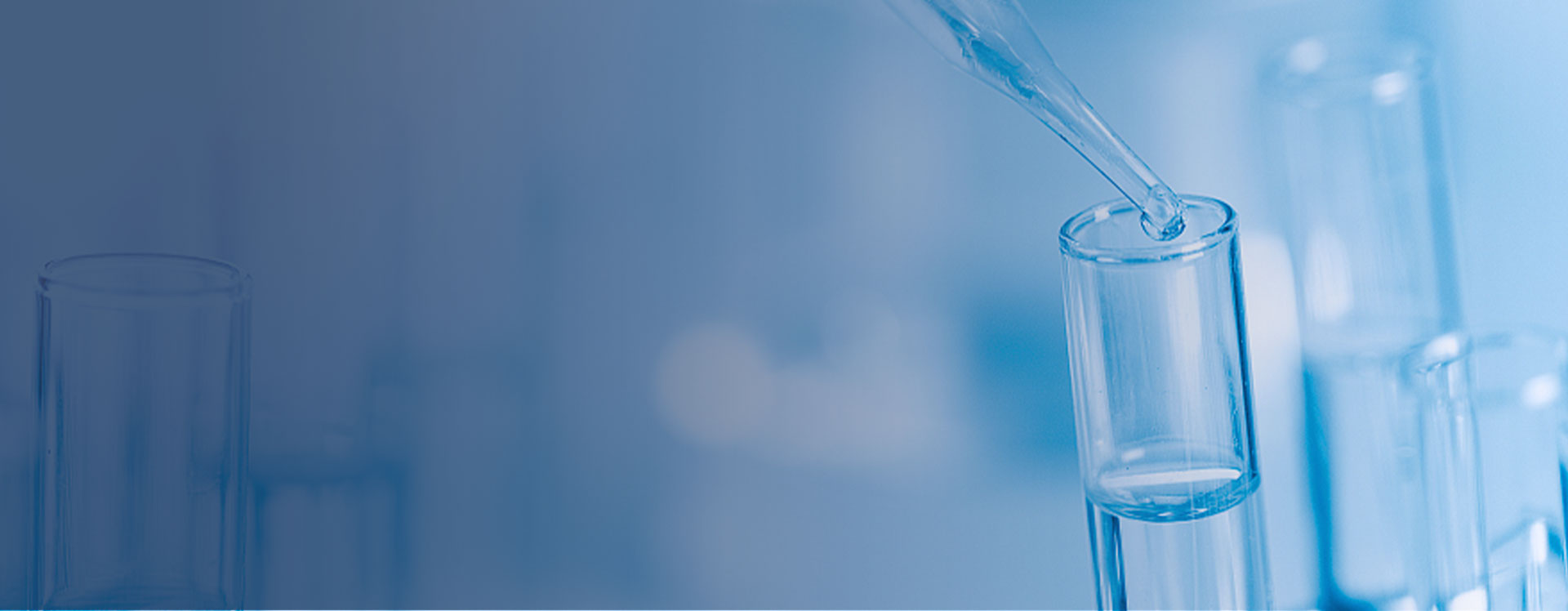 Innovative Application of Microfluidic Platform in Agricultural Product Testing